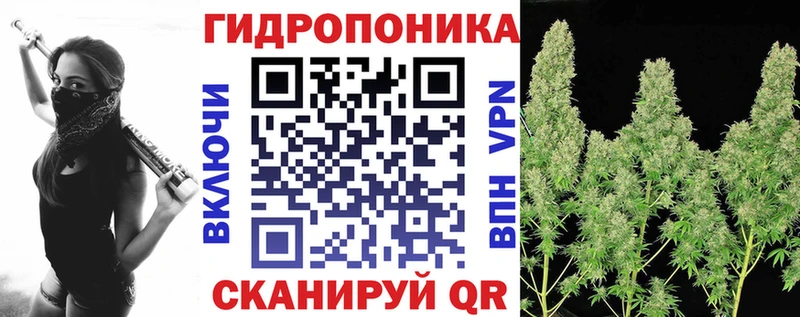 Где купить наркотики Тверь Конопля  ссылка на мегу tor  ГАШ  Мефедрон 
