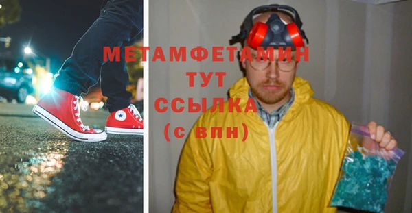 ГАЛЛЮЦИНОГЕННЫЕ ГРИБЫ Вяземский