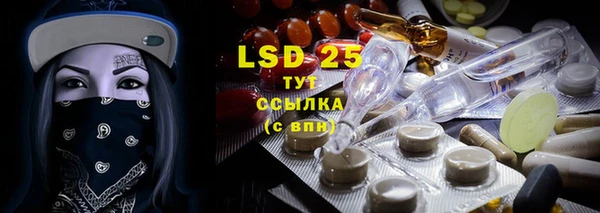 ГАЛЛЮЦИНОГЕННЫЕ ГРИБЫ Вяземский
