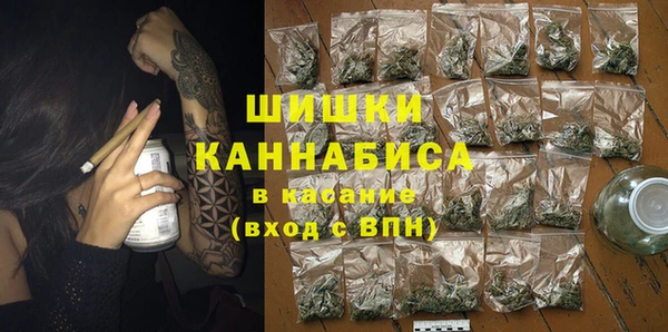 ГАЛЛЮЦИНОГЕННЫЕ ГРИБЫ Вяземский