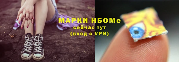 ГАЛЛЮЦИНОГЕННЫЕ ГРИБЫ Вяземский